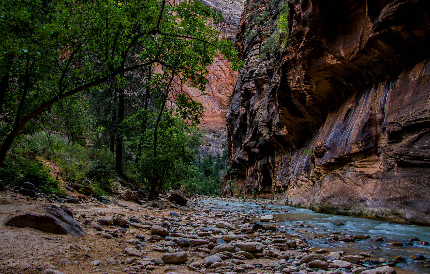 Zion NP - Narrows 5