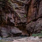 Zion NP - Narrows 6