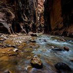 Zion NP - Narrows 7