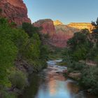 Zion NP, Springdale,USA