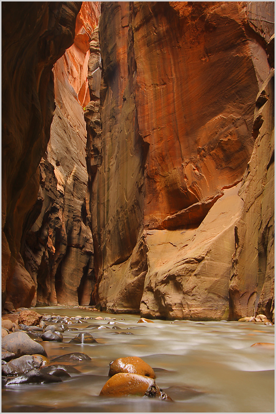 Zion NP - The Narrows I