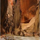 Zion NP - The Narrows I