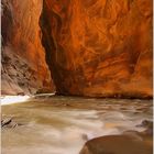 Zion NP - The Narrows II