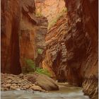 Zion NP - The Narrows III