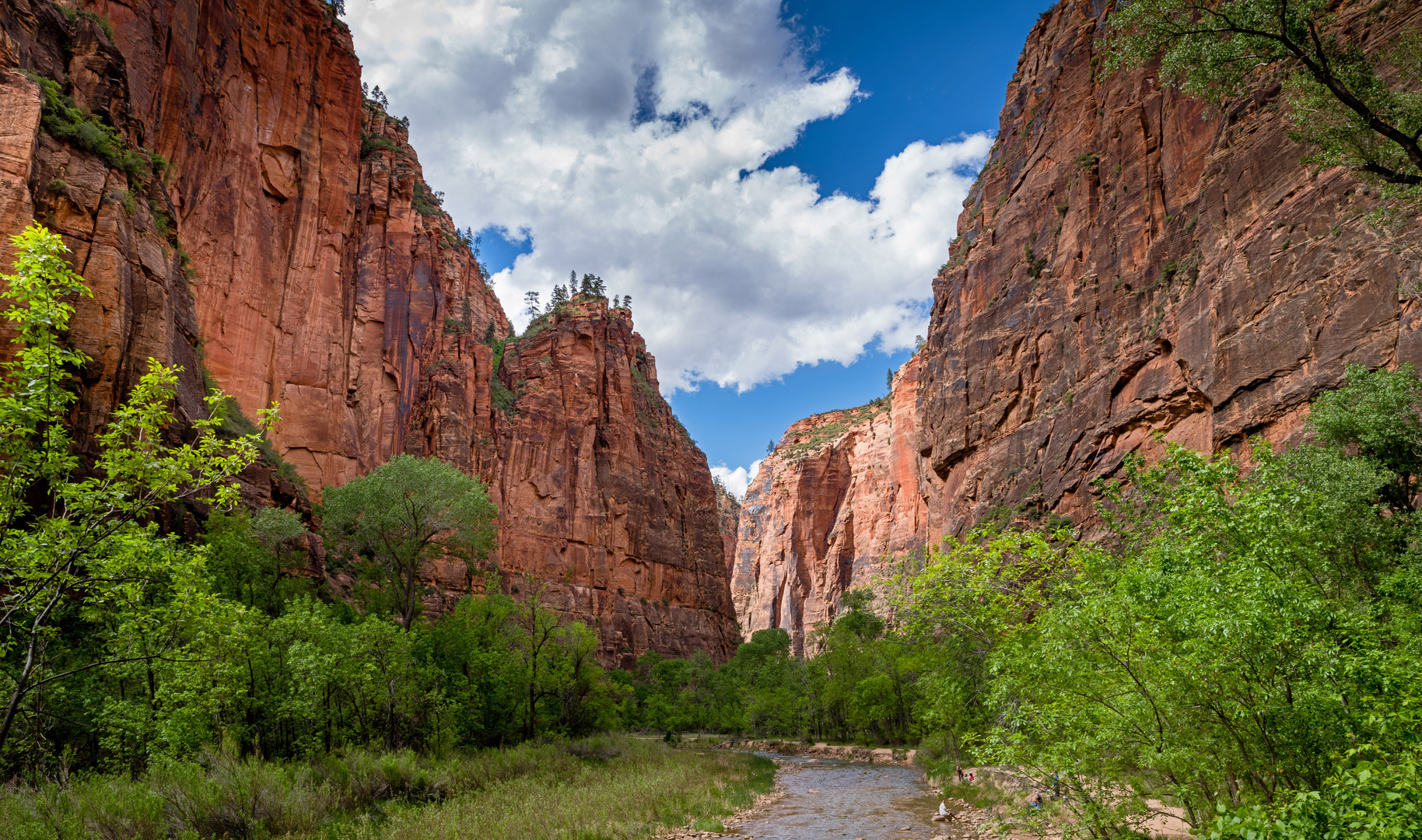 Zion N.P. und Narrow's, weil so schön ist