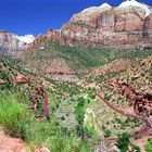 Zion N.P. Utah