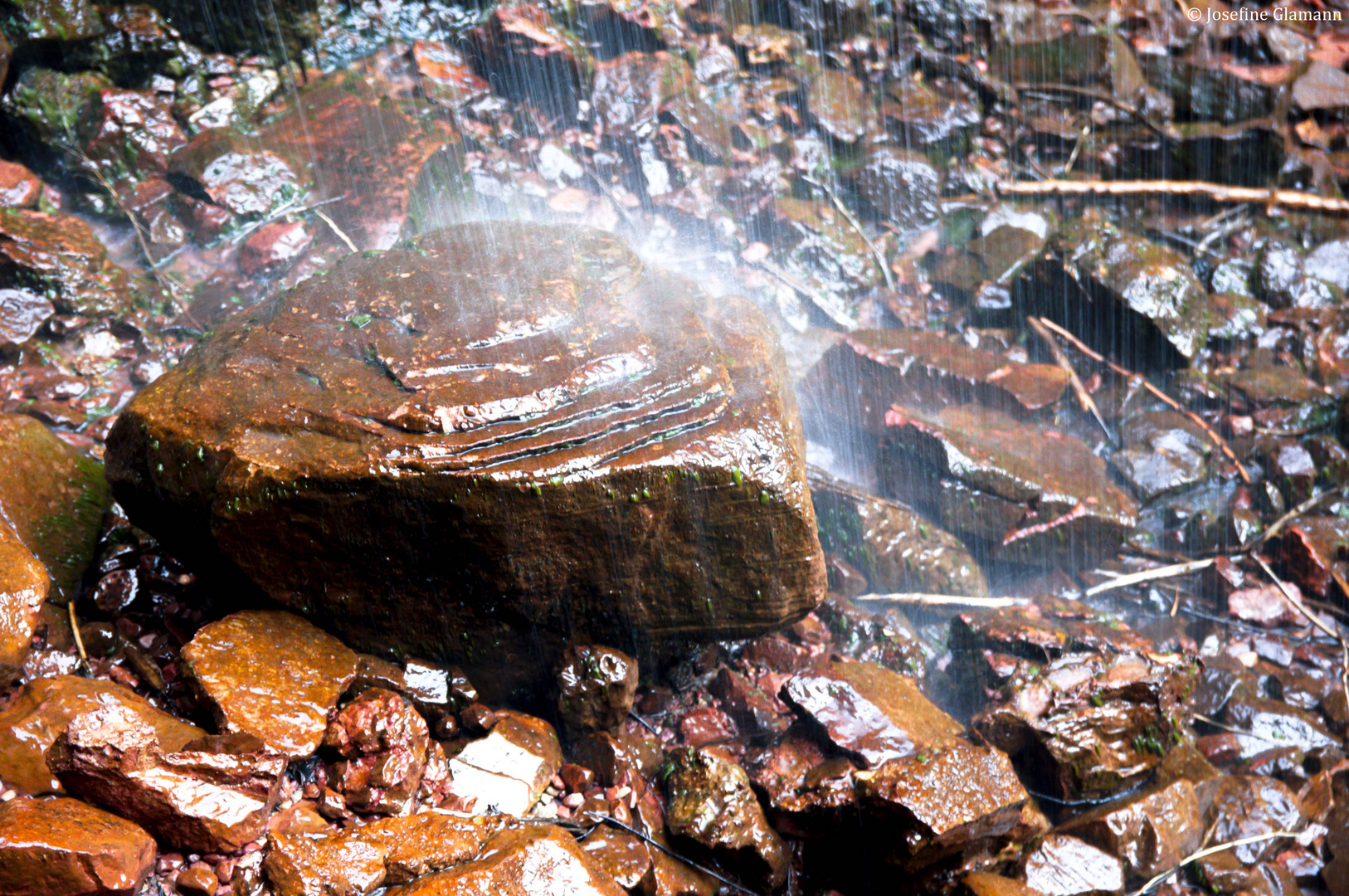 Zion on the Rocks