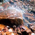 Zion on the Rocks