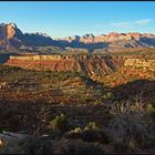 Zion overview