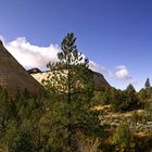 Zion Panorama