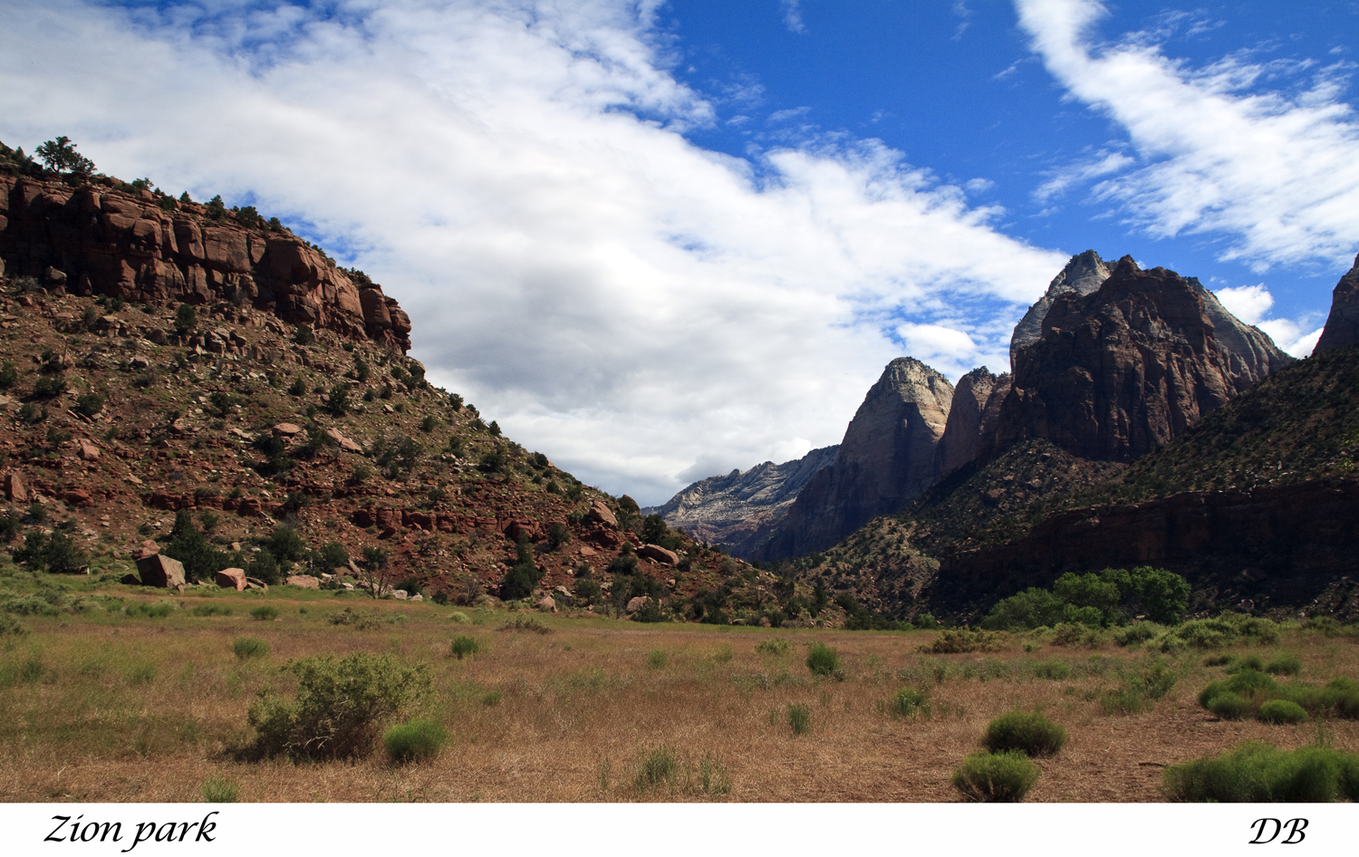 Zion park