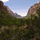 Zion - Park