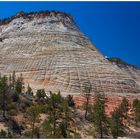 Zion Standards - Checkerboard Mesa