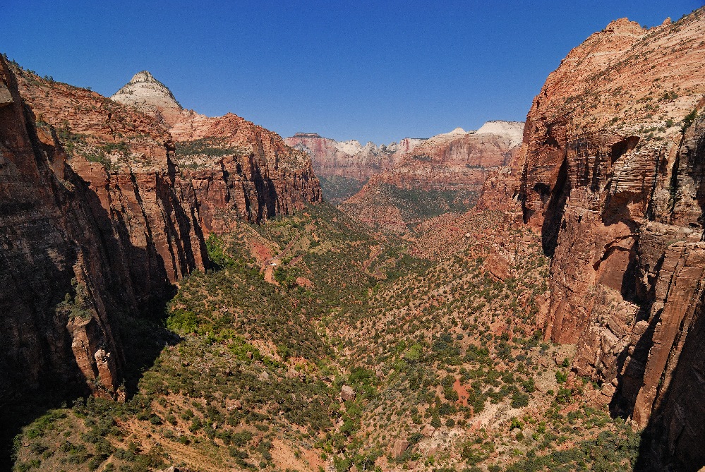 Zion - Talblick (Zion Natl. Park USA 2008)