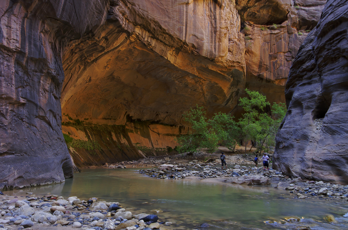 Zion - The Narrows II