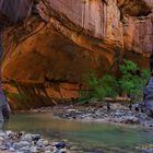 Zion - The Narrows II