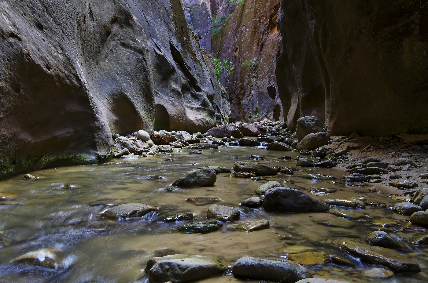 Zion - The Narrows III