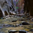 Zion - The Narrows III