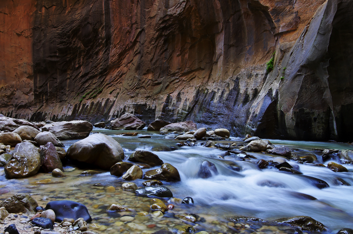 Zion - The Narrows V