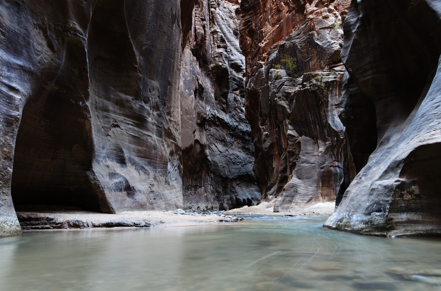 Zion - The Narrows VI