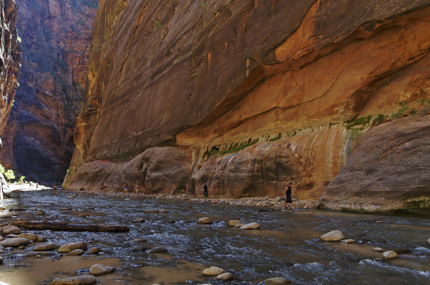 Zion - The Narrows VI