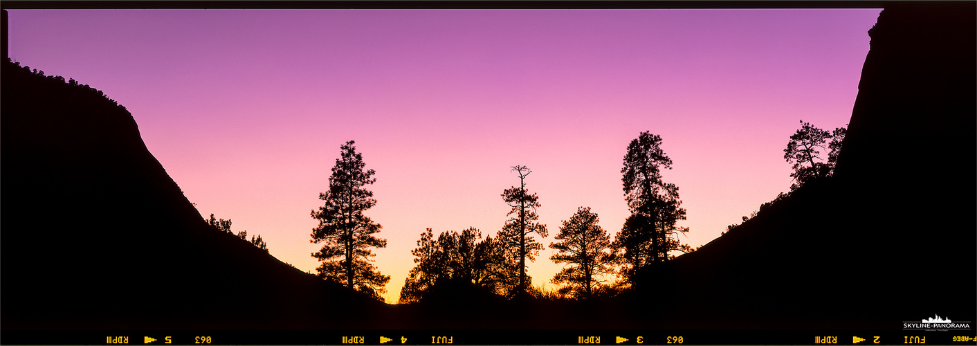 Zion View