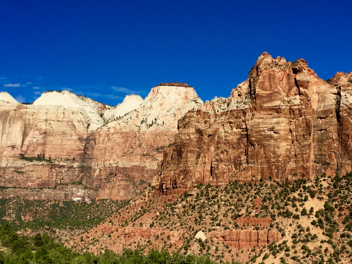 Zion Wonderland