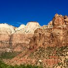 Zion Wonderland