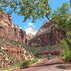 Zions Nationalpark 