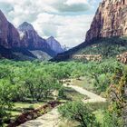 Zions Nationalpark, USA