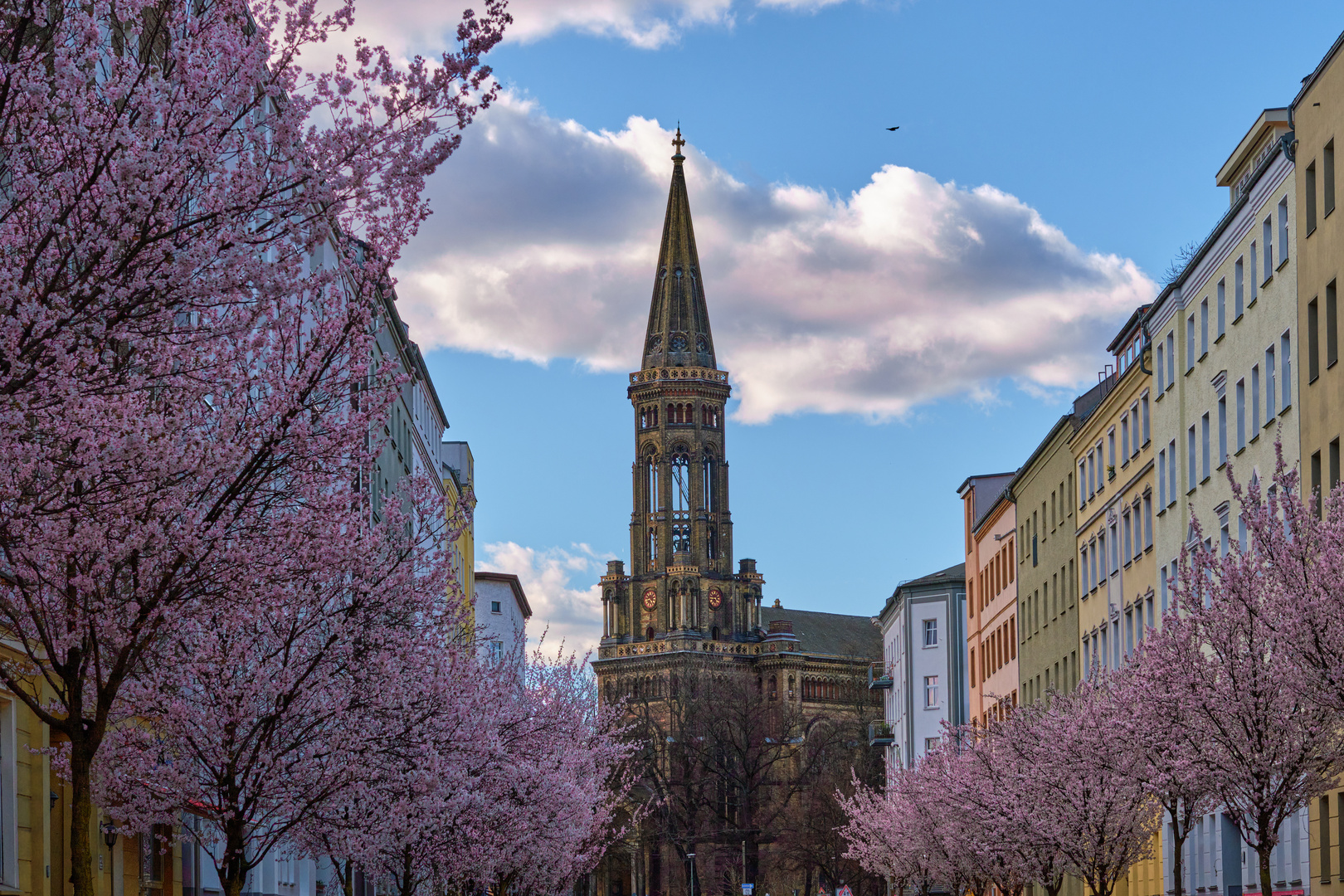 Zionskirche im Frühling