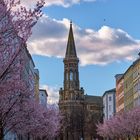 Zionskirche im Frühling