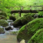 Zipfelbachschlucht bei Hepsisau