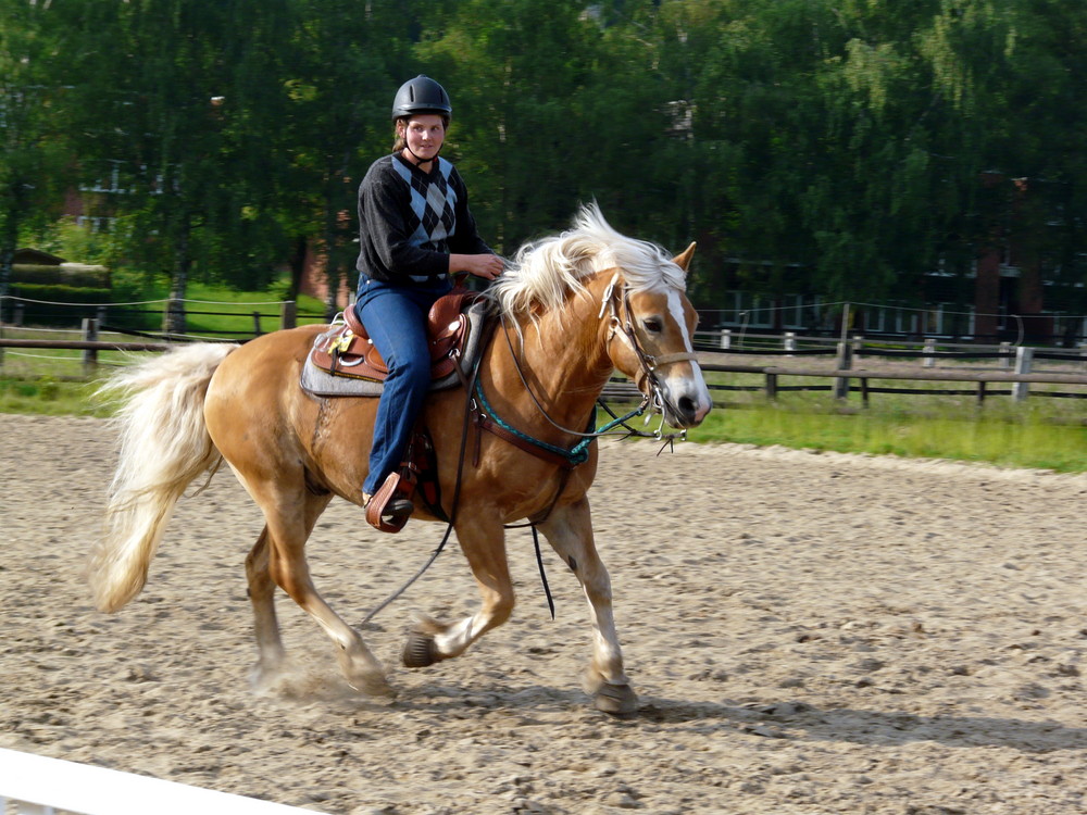 Zirkel im Galopp