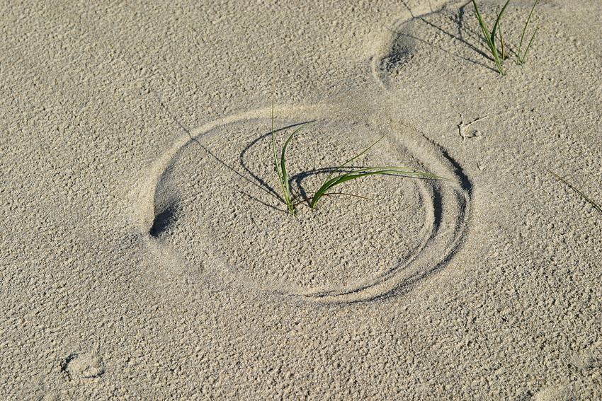 Zirkelschlag im Sand