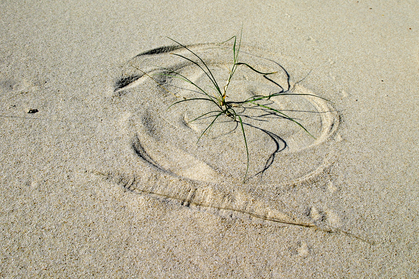 Zirkelschlag im Sand 4