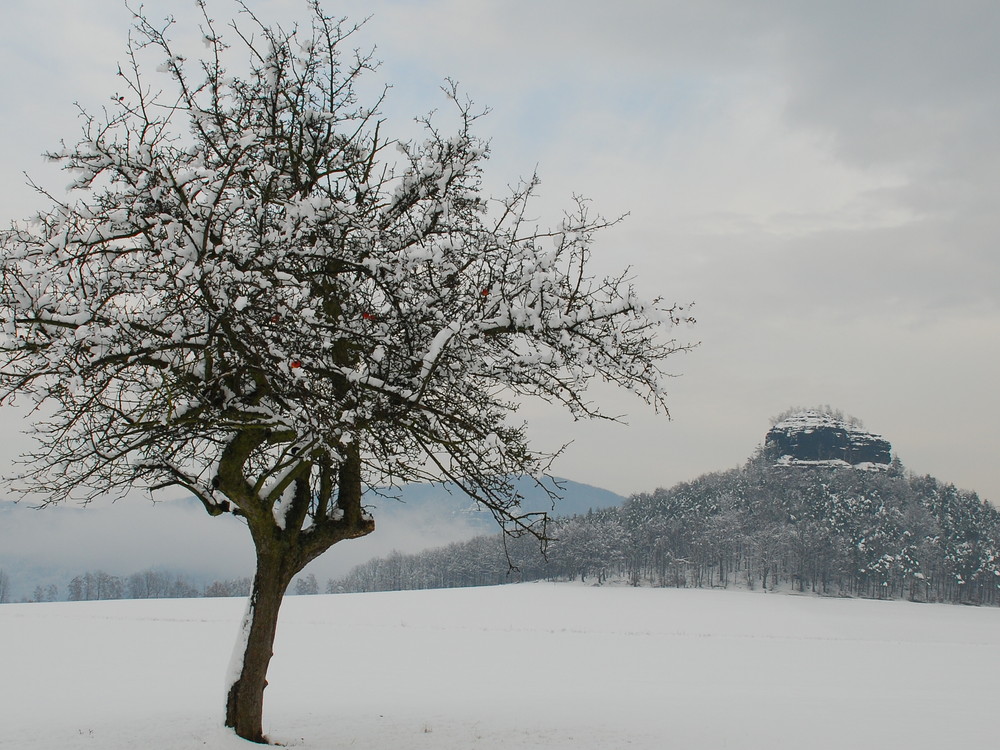 Zirkelstein im Schnee