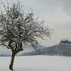 Zirkelstein im Schnee