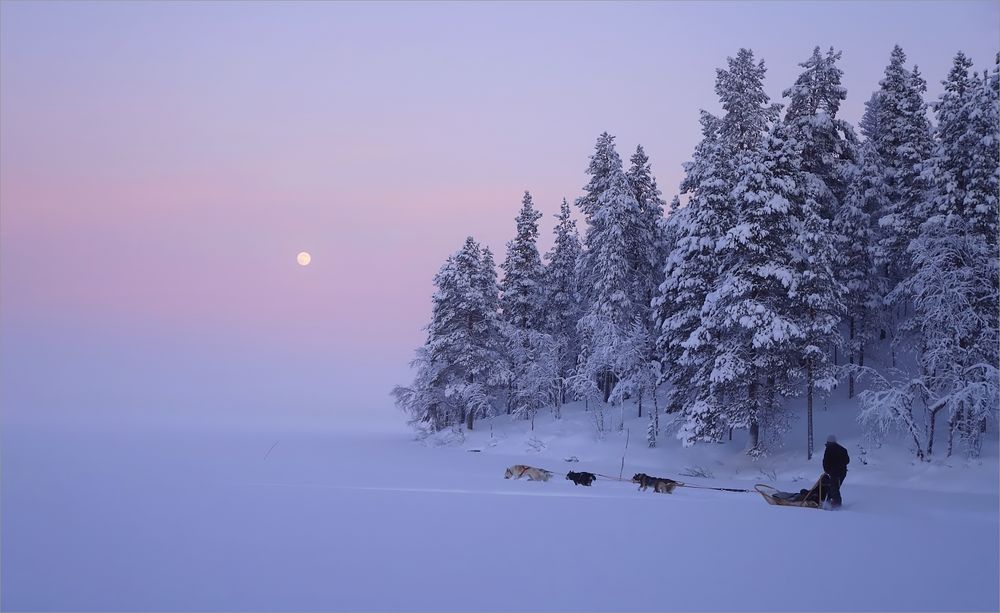 zirkumpolarer Vollmond