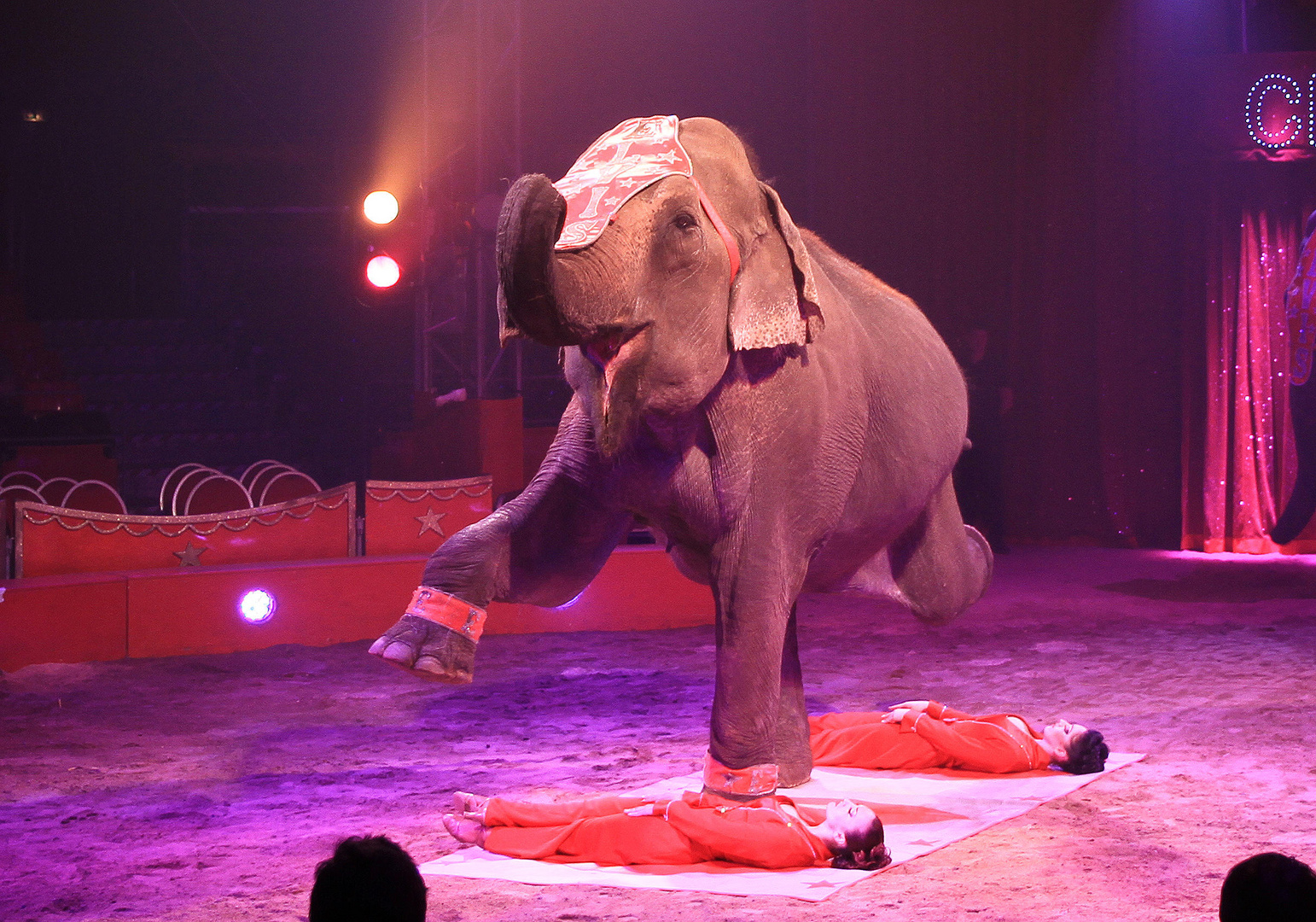 Zirkus Charles Knie in Recklinghausen 5 Foto & Bild ...