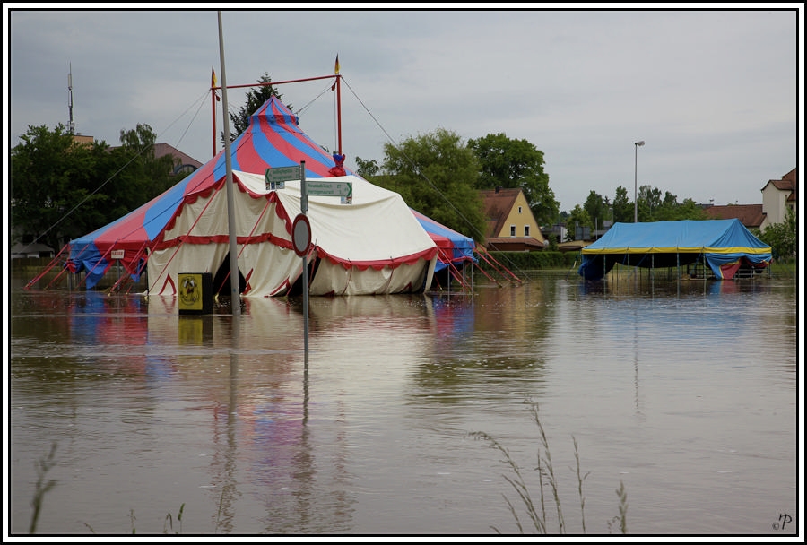 Zirkus im Hochwasser