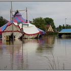 Zirkus im Hochwasser