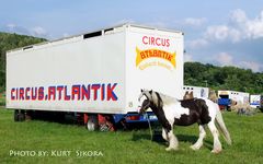 Zirkus Sommertag