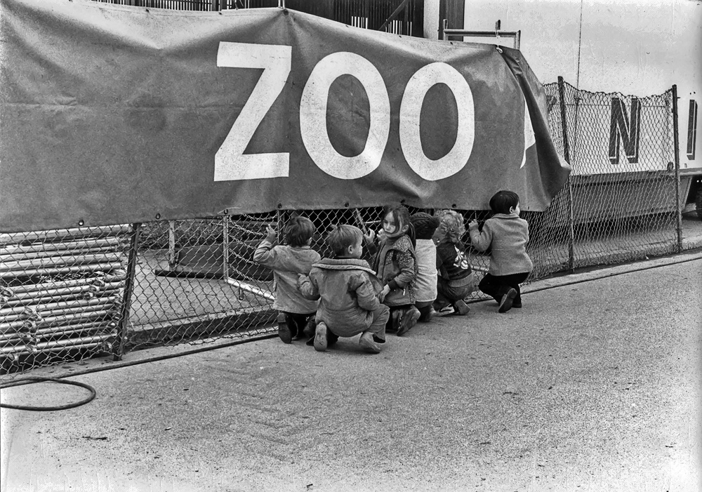 Zirkus und Zoo waren vor 45 Jahren schon spannend