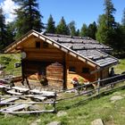 Zirmtaler Alm im Vinschgau Sommer 2013