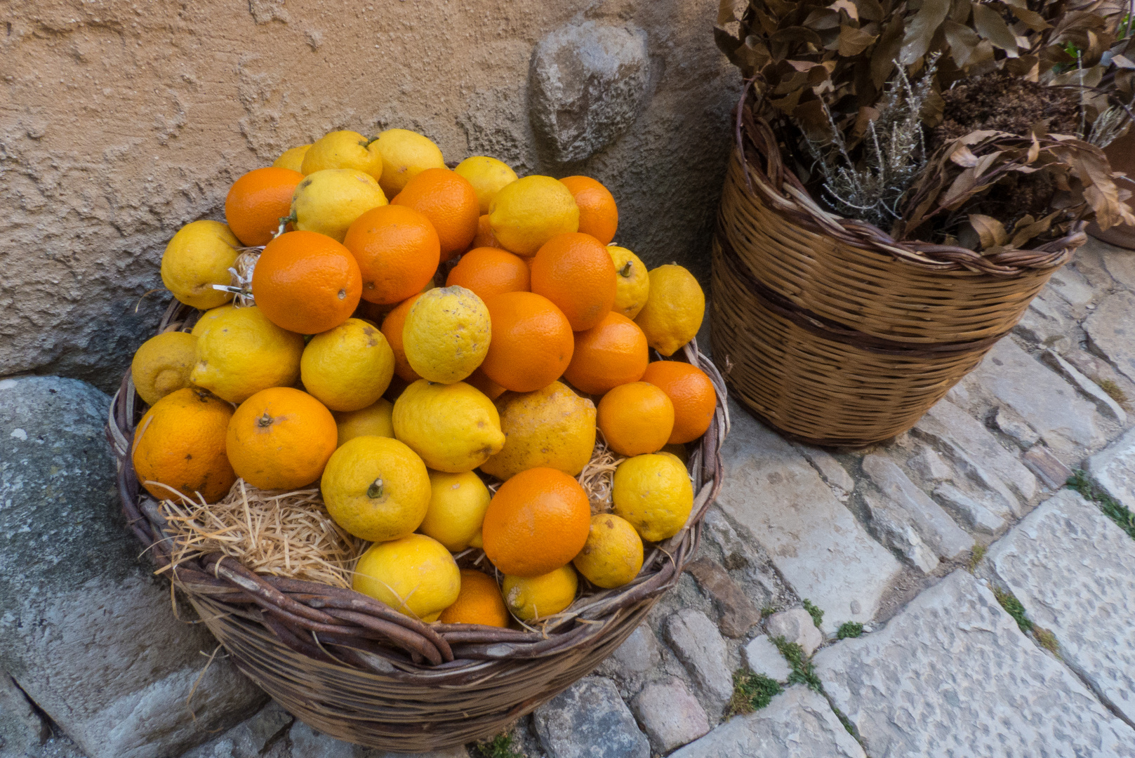 Zirtrusfrüchte in Erice