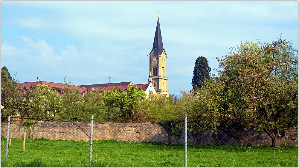 ... Zisterzienserabtei Wettingen-Mehrerau ...