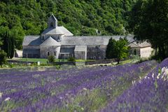 Zisterzienserkloster im Lavendel...