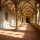 Zisterzienserkloster Walkenried Kreuzgang (Nord)