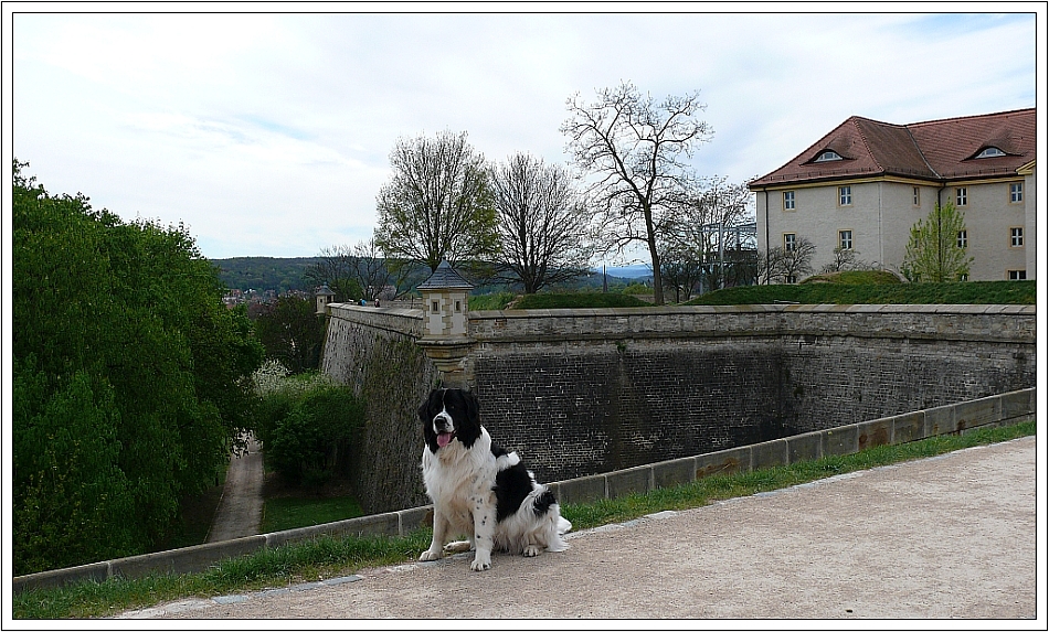 Zitadelle Petersberg Erfurt